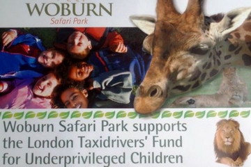 blog_post_woburn_taxi_safari_2009