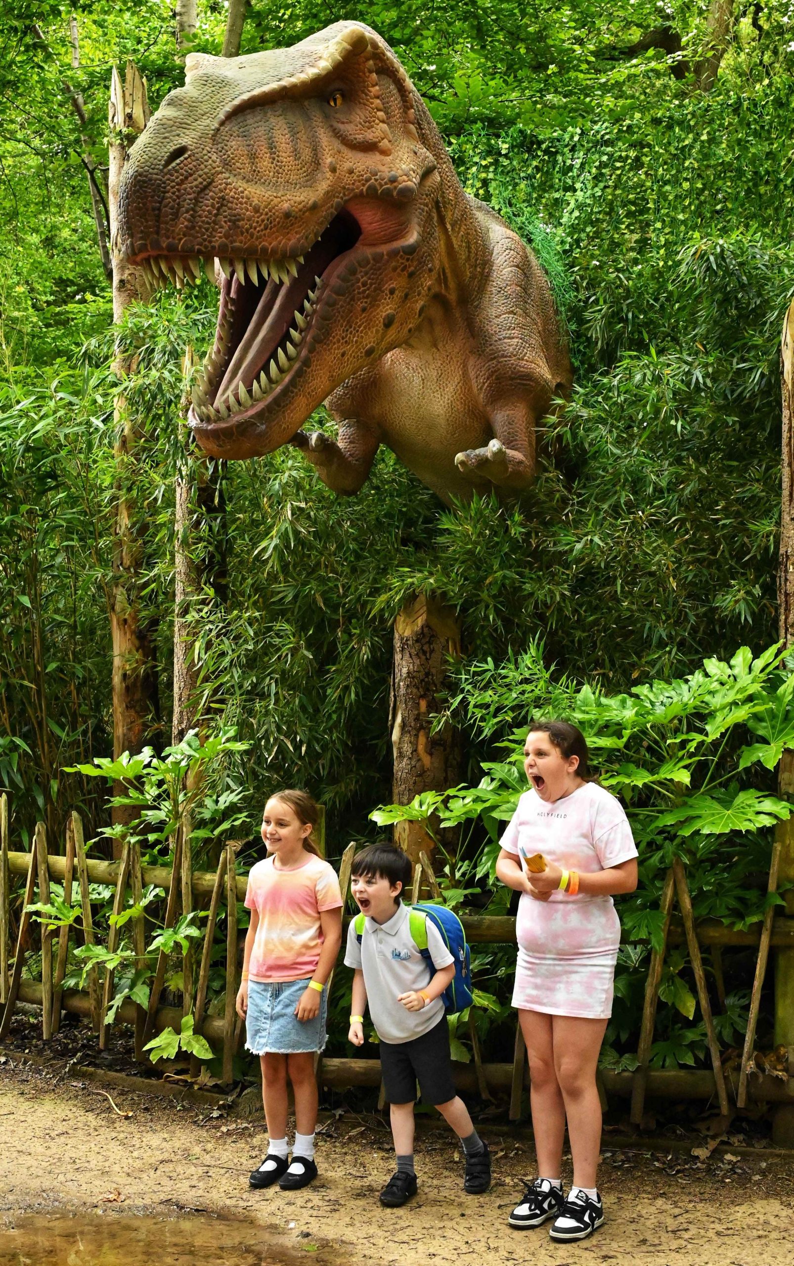 2024_07_10 zoo dino s